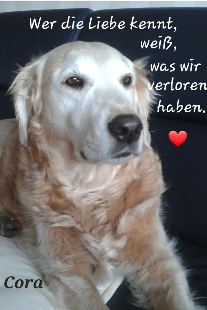 Andachtsbild von Zuhause