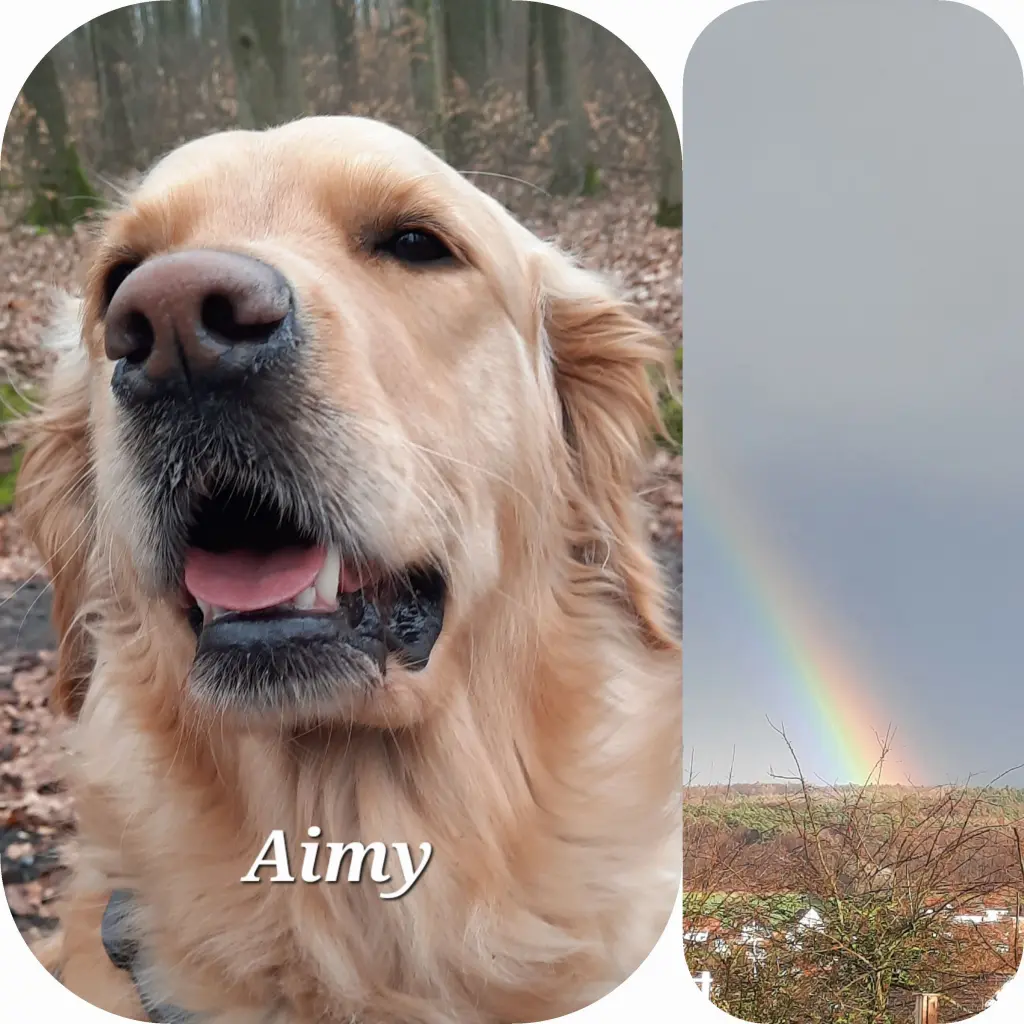 Andachtsbild von Von Aimy ♥️