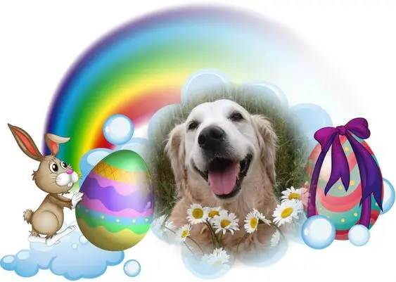 Andachtsbild von Frohe❤️❤️❤️Ostern❤️