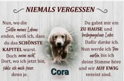 Andachtsbild von ♥️♥️♥️