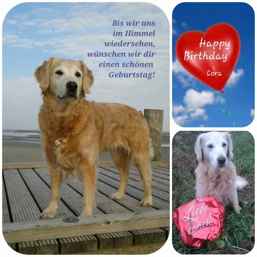 Andachtsbild von Zuhause ❤️❤️❤️