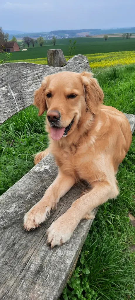 Andachtsbild von Aimy ♥️ 