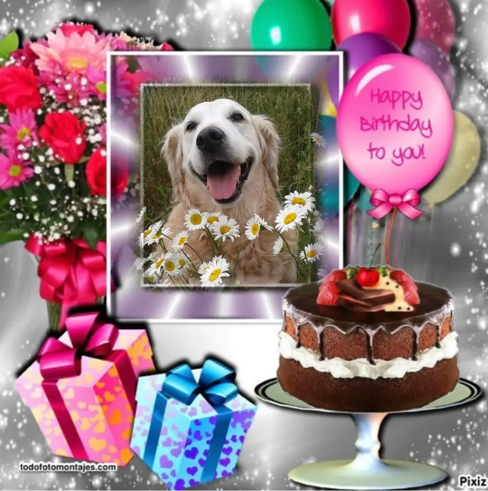 Andachtsbild von 17. Geburtstag❤️