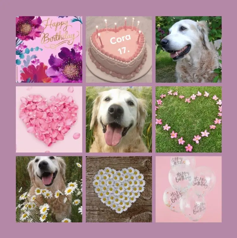 Andachtsbild von Rosen zum 17. Geburtstag