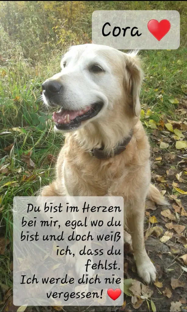 Andachtsbild von Zuhause ♥️ 