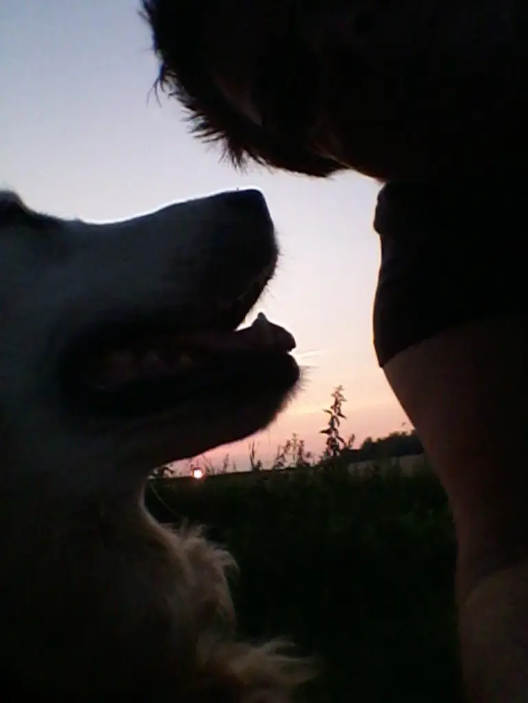 Andachtsbild von ⭐️❤️