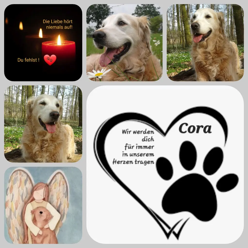 Andachtsbild von Zuhause ♥️♥️