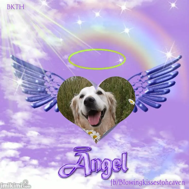 Andachtsbild von 5.Sternchen❤Gedenktag❤❤❤❤❤