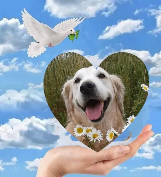 Andachtsbild von 5.Sternchen⭐️Gedenktag❤️❤️❤️❤️❤️