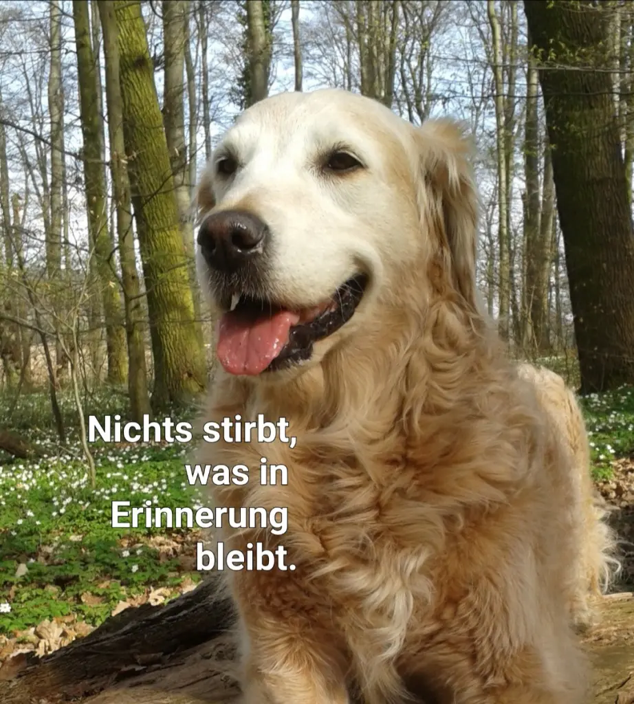 Andachtsbild von Zuhause ♥️ 