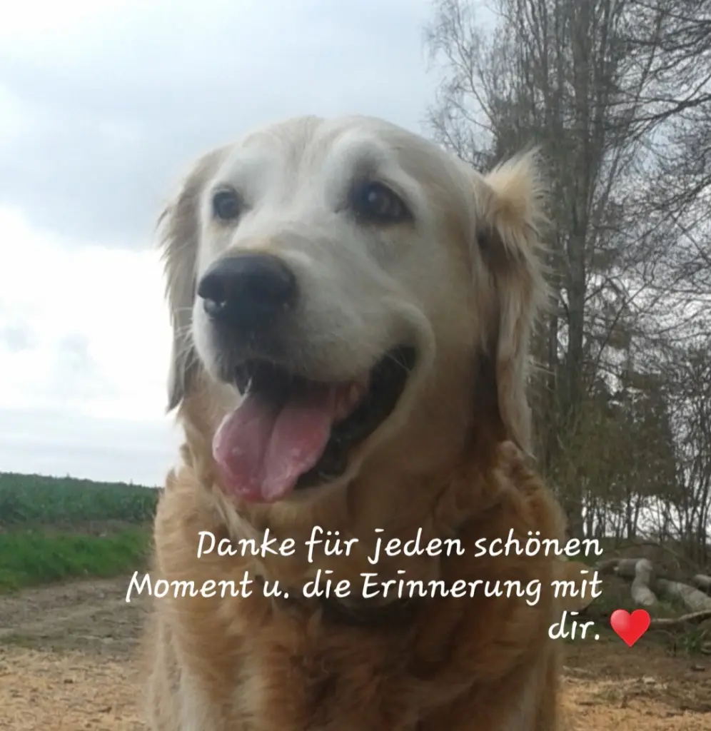 Andachtsbild von ♥️♥️♥️