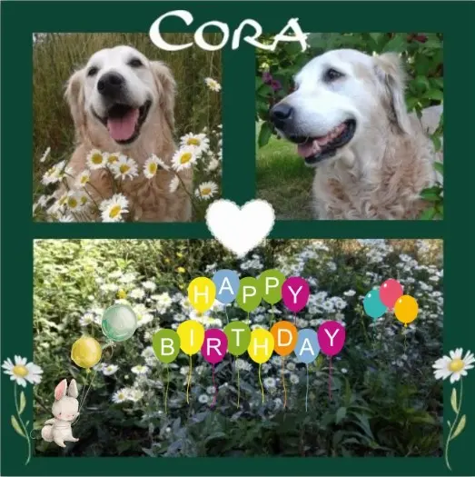 Andachtsbild von Rosen für Cora zum 18. Geburtstag