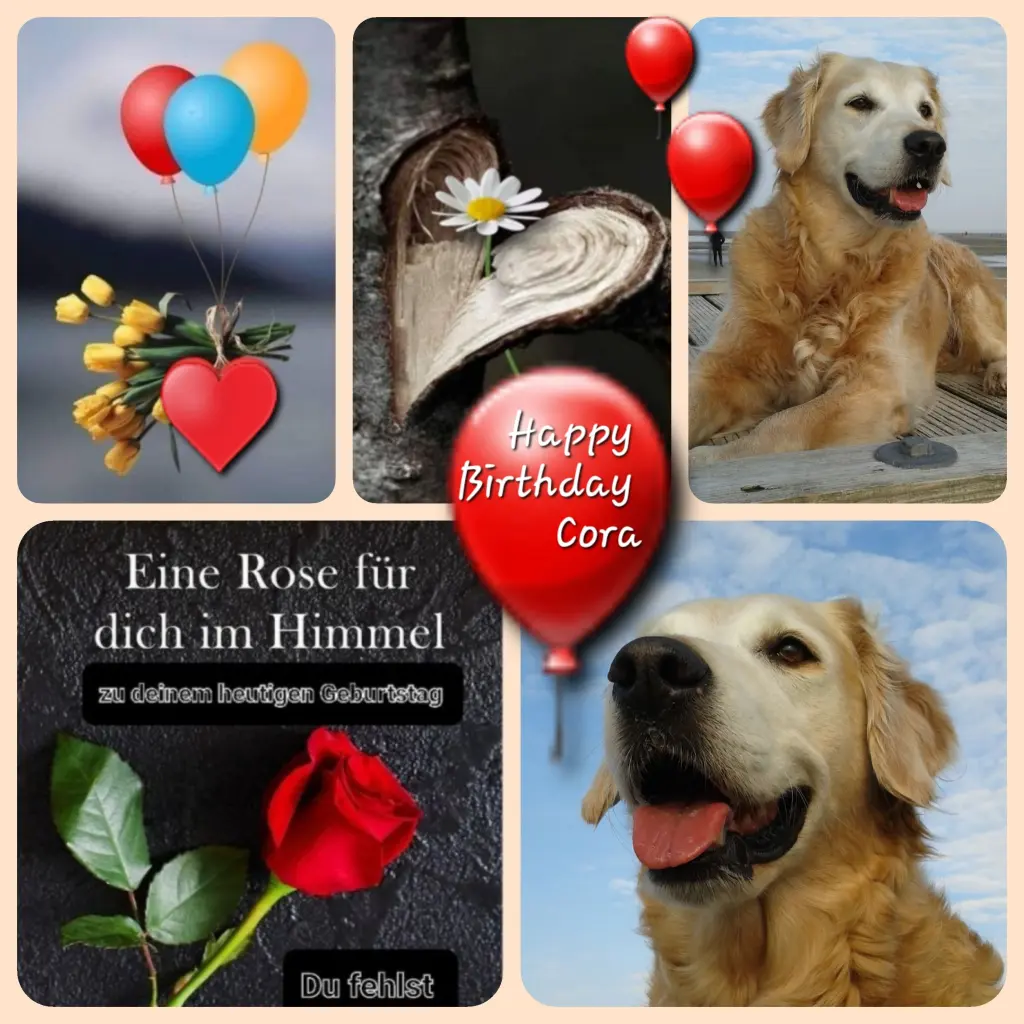 Andachtsbild von Zuhause ♥️♥️