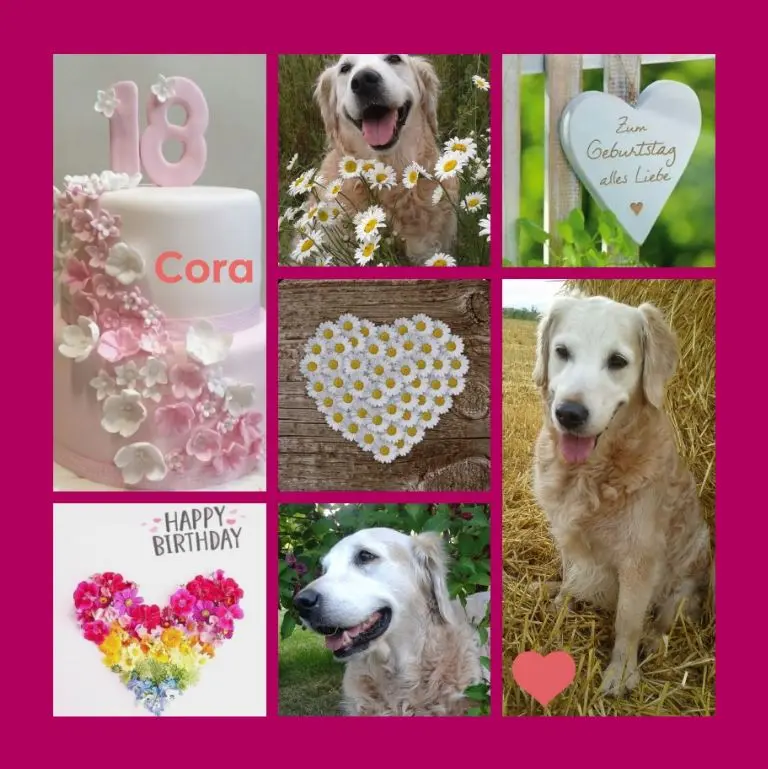 Andachtsbild von Happy 18th birthday 