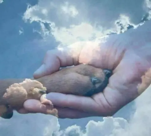 Andachtsbild von Mama ♥️