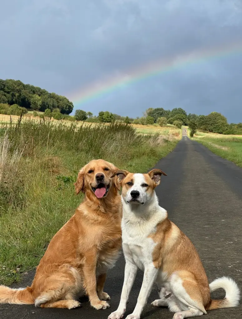 Andachtsbild von ♥️♥️♥️