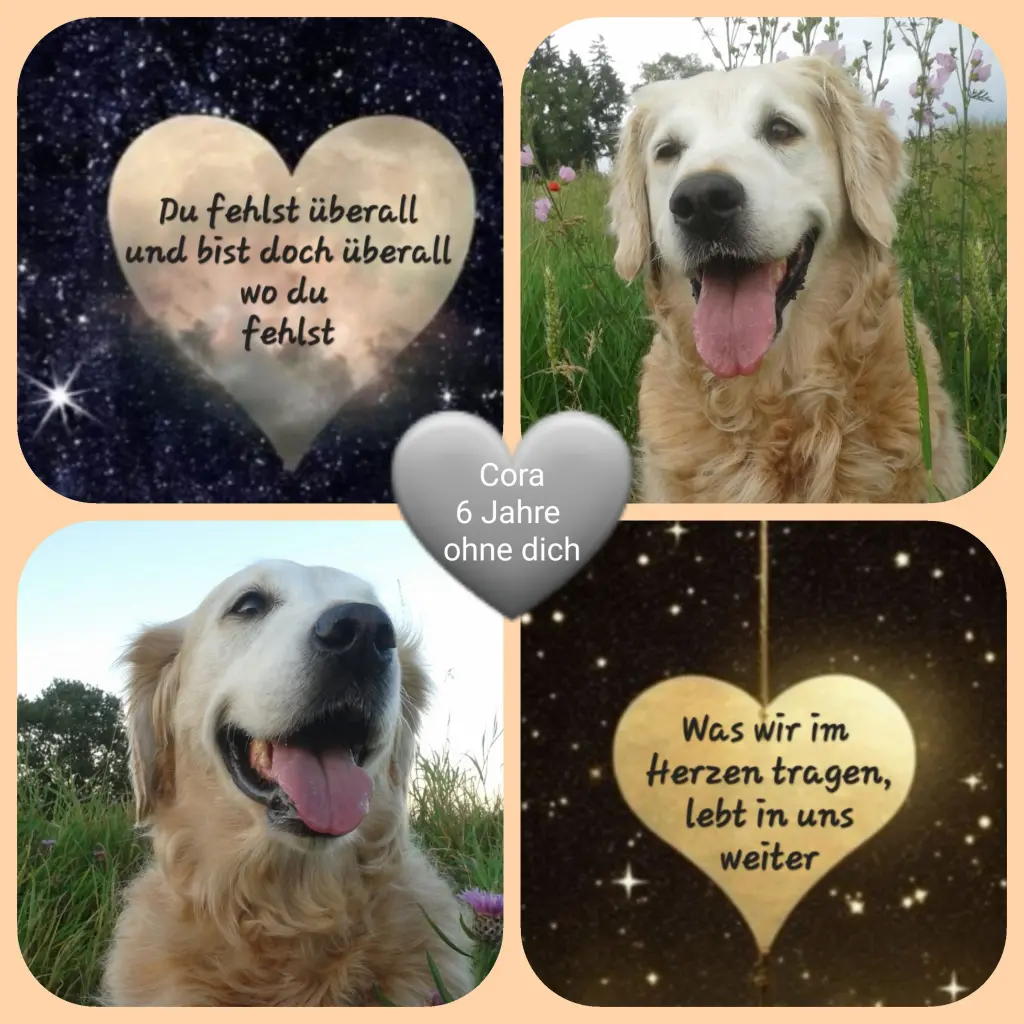 Andachtsbild von Zuhause ❤️❤️