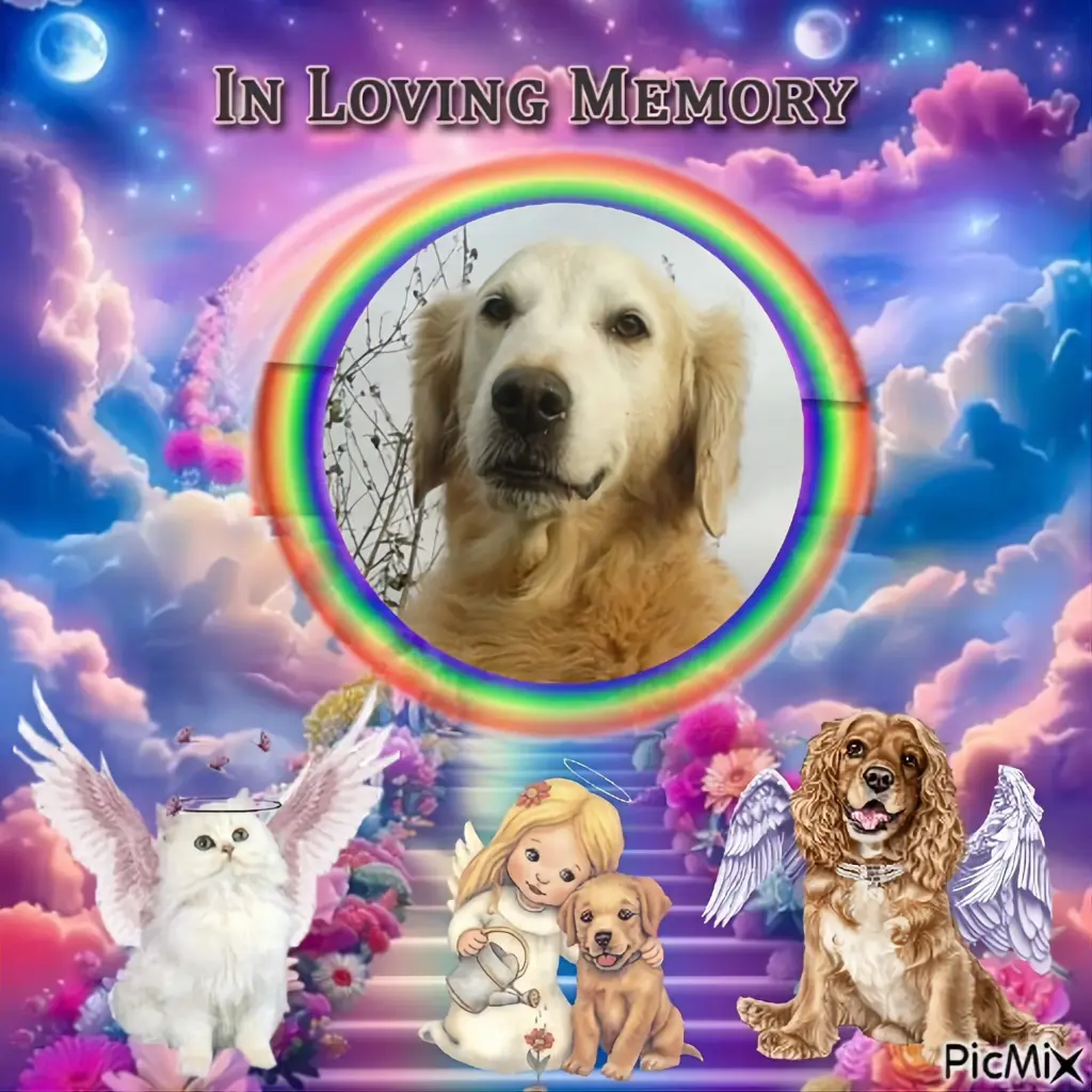 Andachtsbild von 6. Sternchen❤️Gedenktag❤️