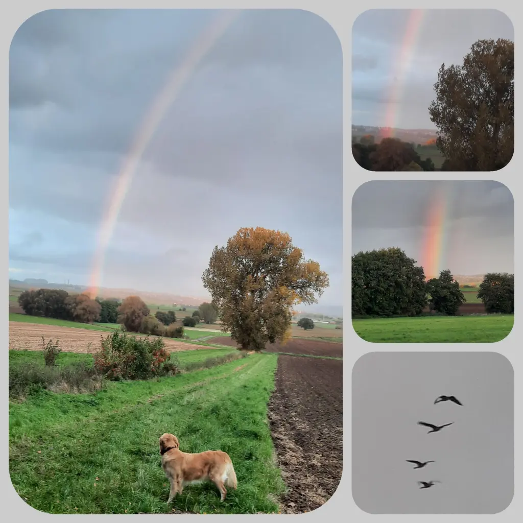 Andachtsbild von Mama+Aimy