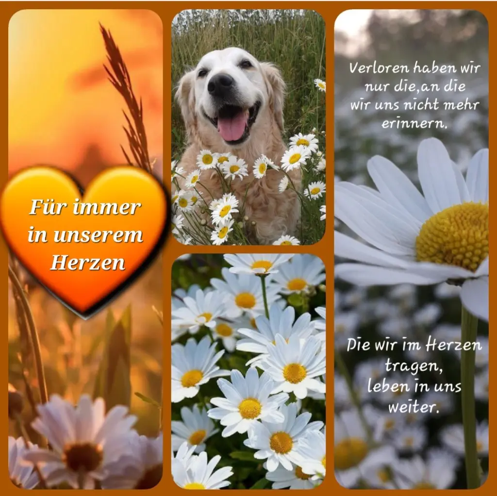 Andachtsbild von Zuhause