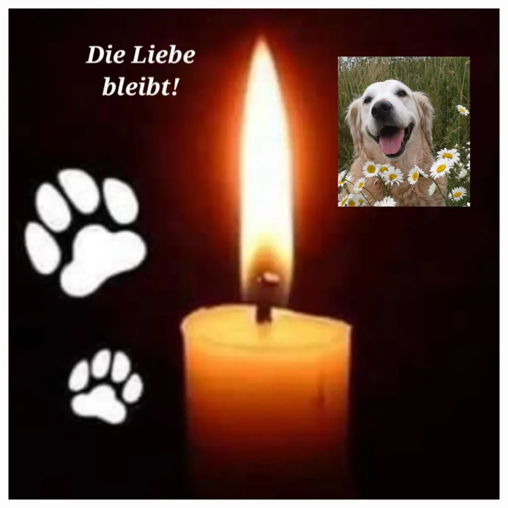 Andachtsbild von ♥️♥️♥️