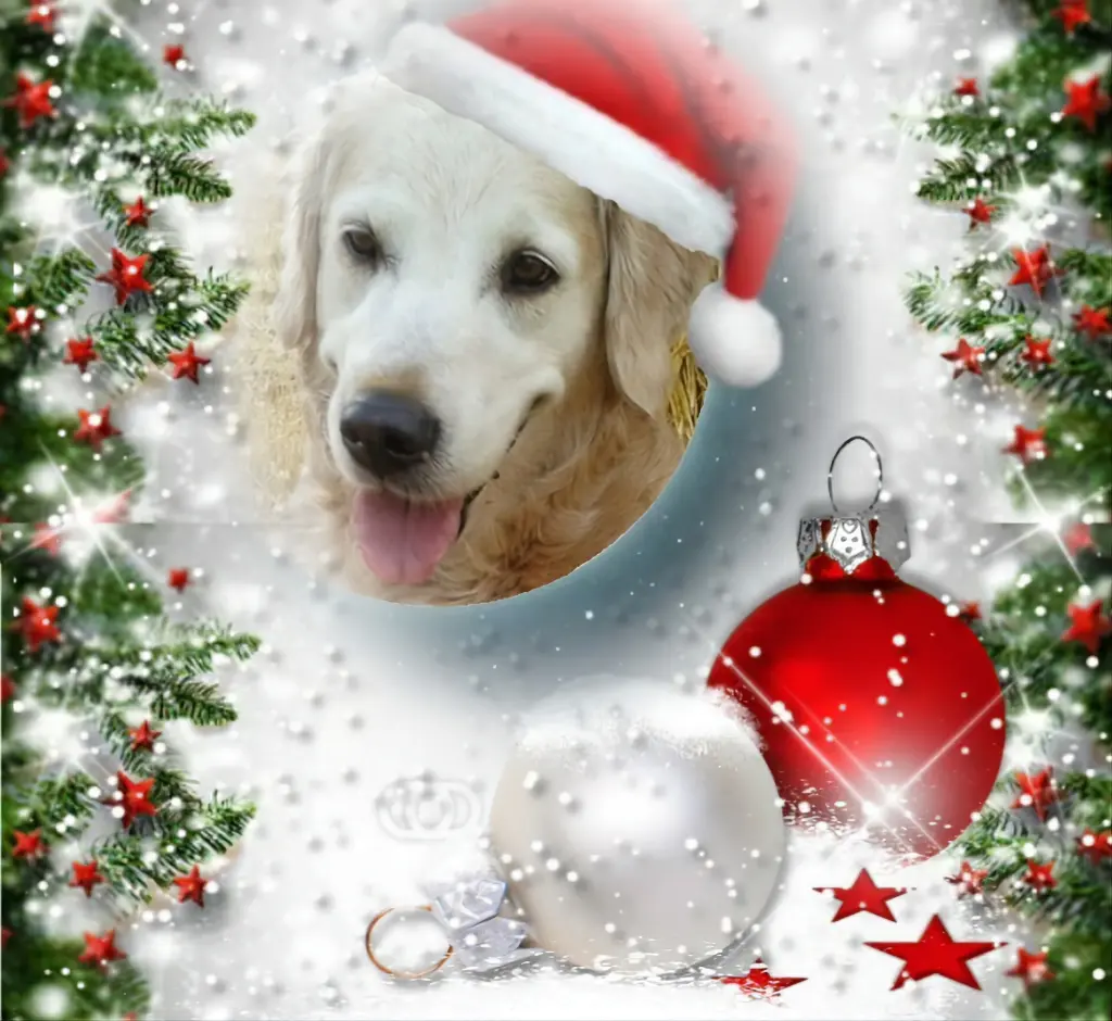 Andachtsbild von Frohe Weihnachten❤️⭐️❤️