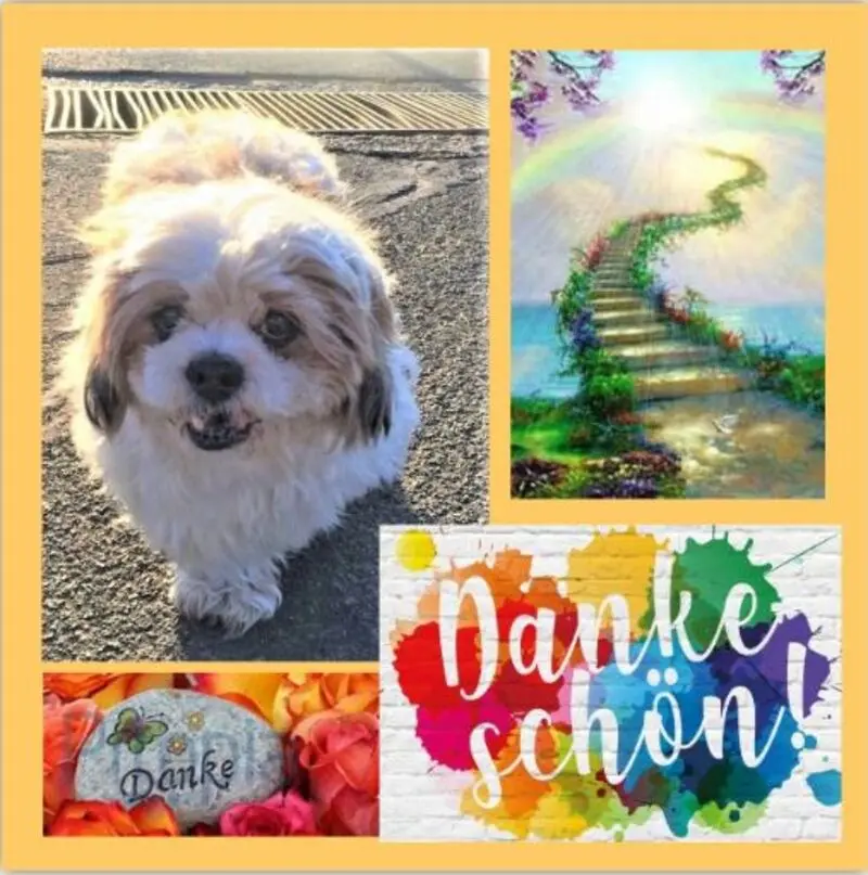 Andachtsbild von Vielen Dank