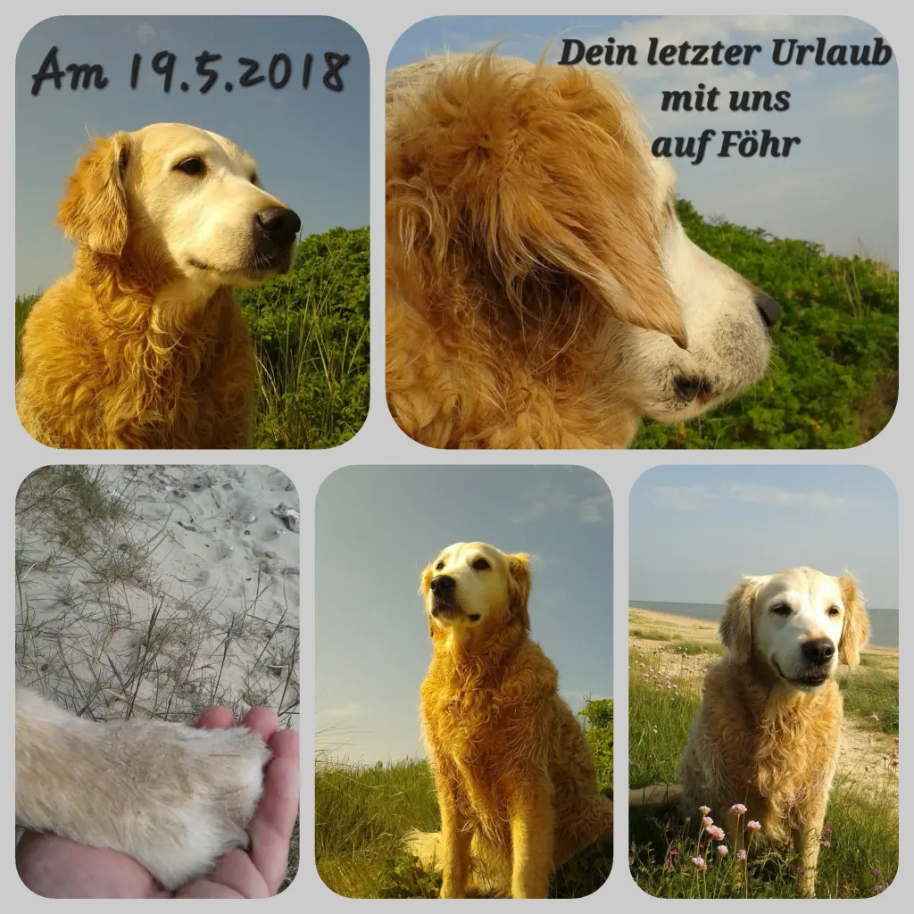 Andachtsbild von Mama, Papa u. Aimy die zur Zeit auf Föhr sind