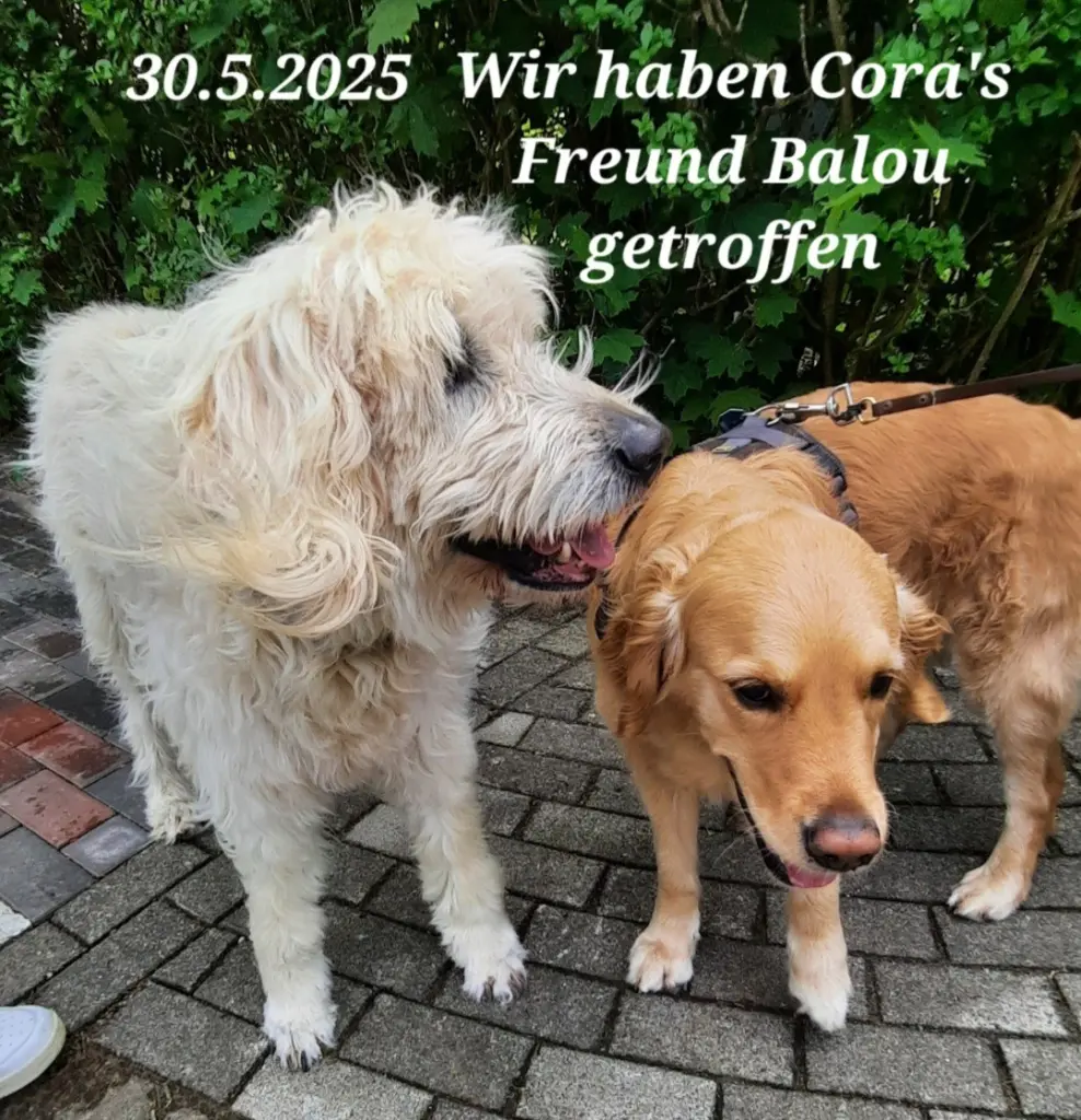 Andachtsbild von Mama ❤️ 