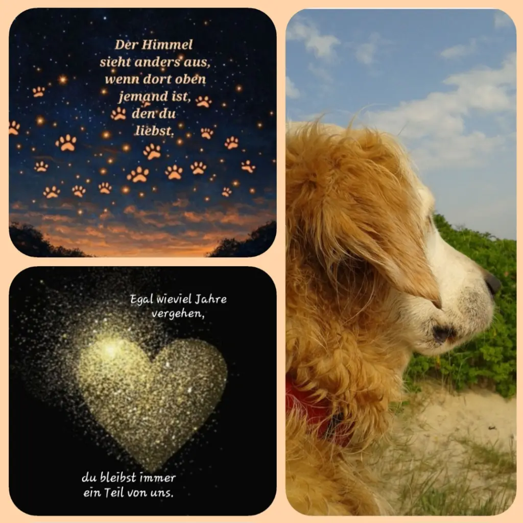 Andachtsbild von Zuhause ♥️ ♥️ ♥️ Papa und Mama