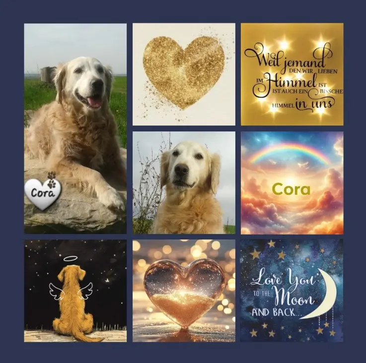 Andachtsbild von Rosen für Cora zum 7. Sternchengeburtstag