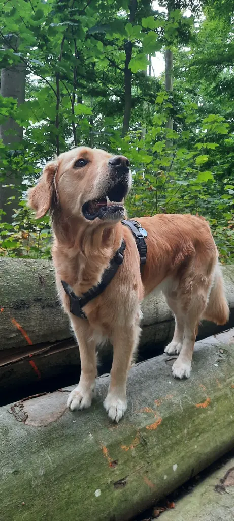 Andachtsbild von Aimy ♥️