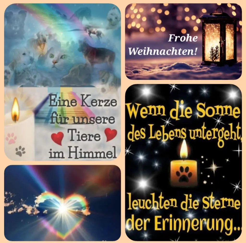 Andachtsbild von Zuhause ♥️