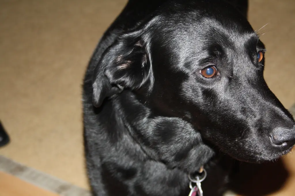 Condolence image of Kirsten