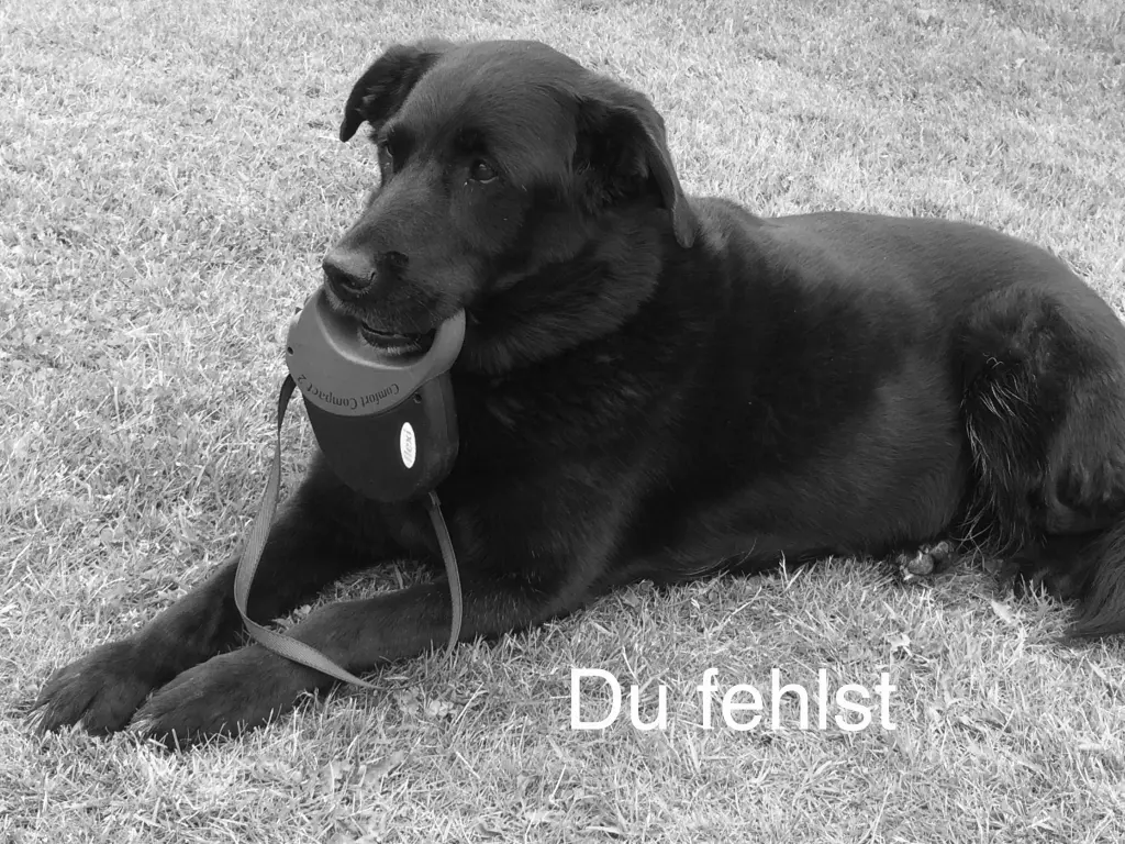 Image from Ronja