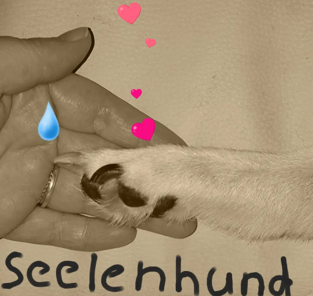 Bild von Aiko