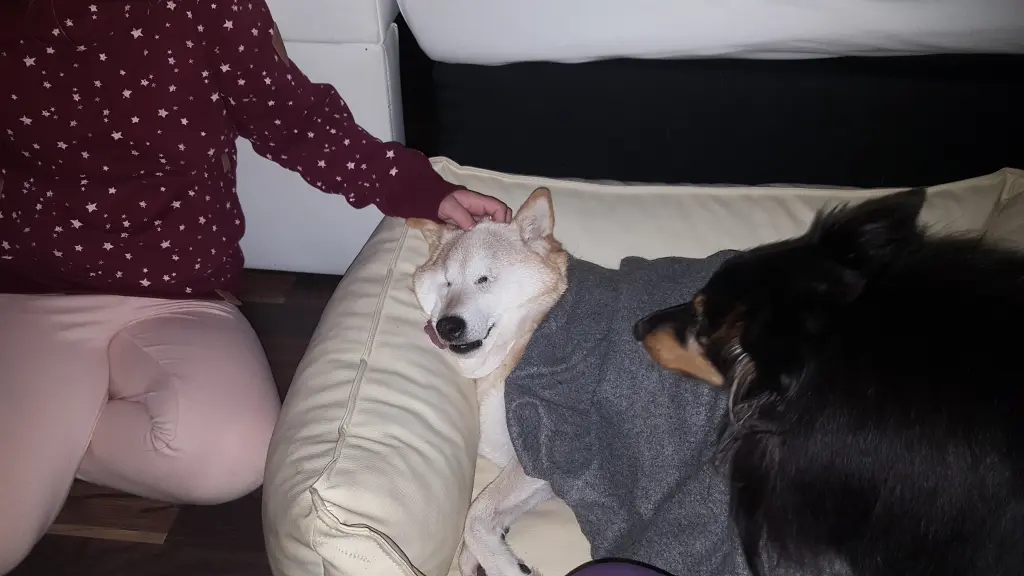 Bild von Aiko