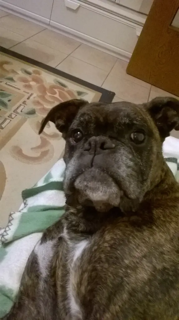 Image from Nelly