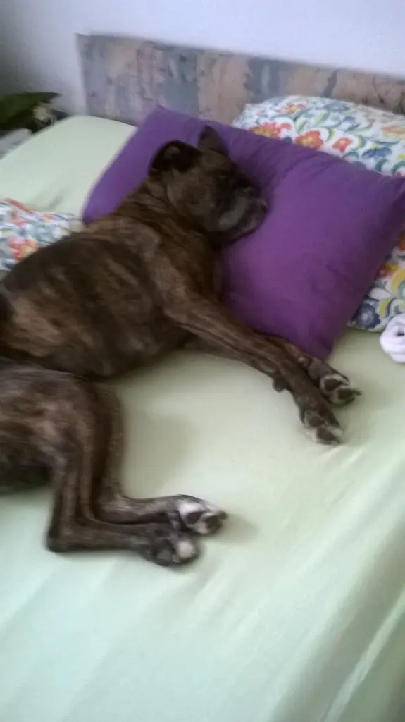 Image from Nelly