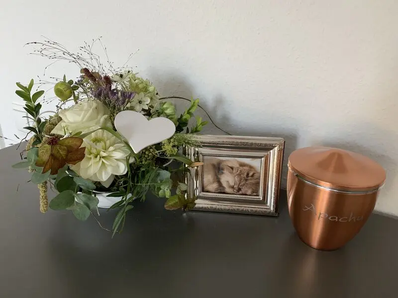 Condolence image of Françoise
