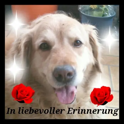 Image from Sammy