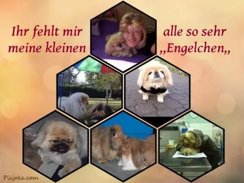 Image from ღ SINA ღ Mein SONNENSCHEIN ღ