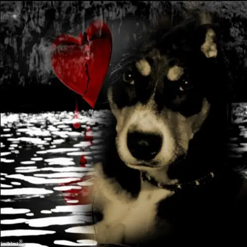 Image from Sally