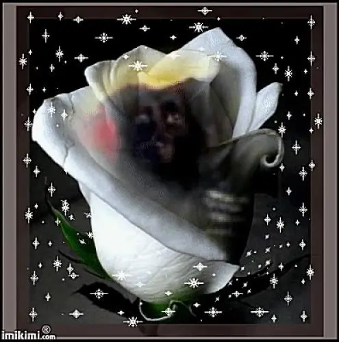 Image from Mandy