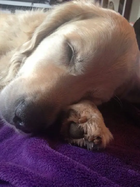Condolence image of Biggi