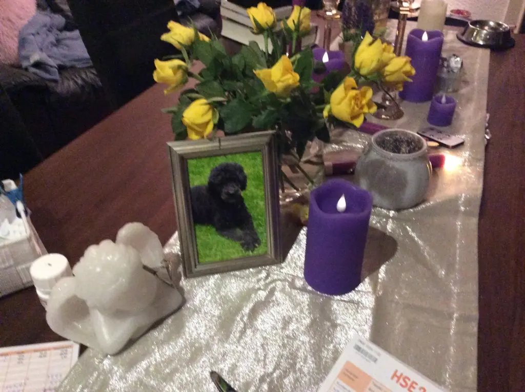 Condolence image of Heidi