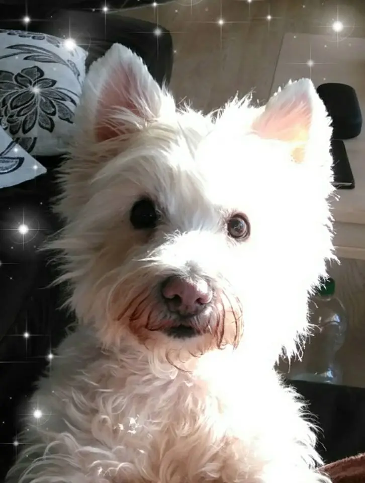 Image from Emelie