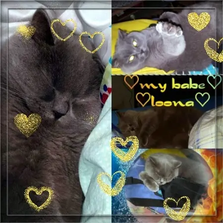 Image from MY BEBI LOONA❤