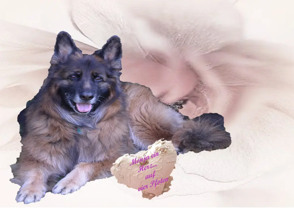 Image from Monja 