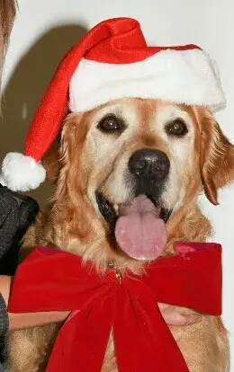 Andachtsbild von Micha mit Cäsar im Herzen